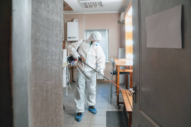 Forensic Mold Investigation in Oreana, IL